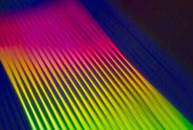 primary jun88